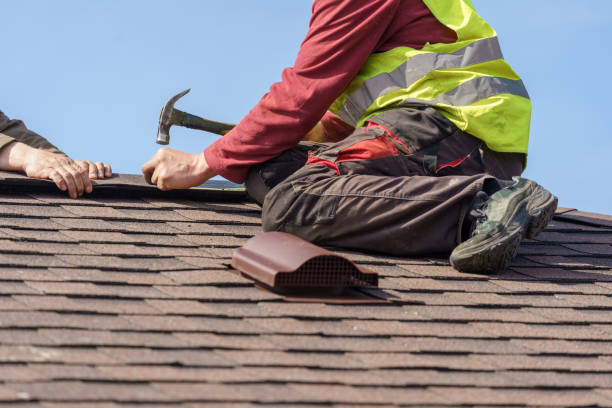 Best Gutter Installation and Roofing  in Druid Hills, GA