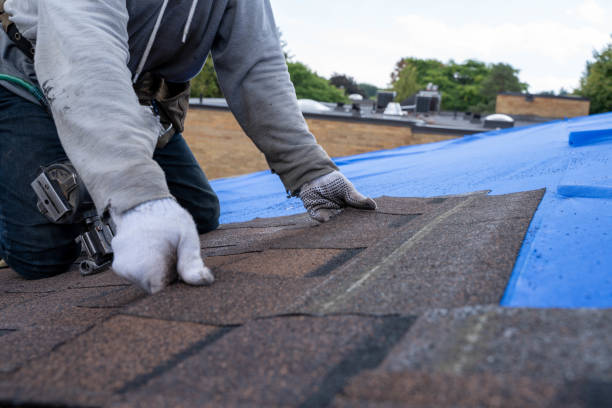 Best Storm Damage Roof Repair  in Druid Hills, GA