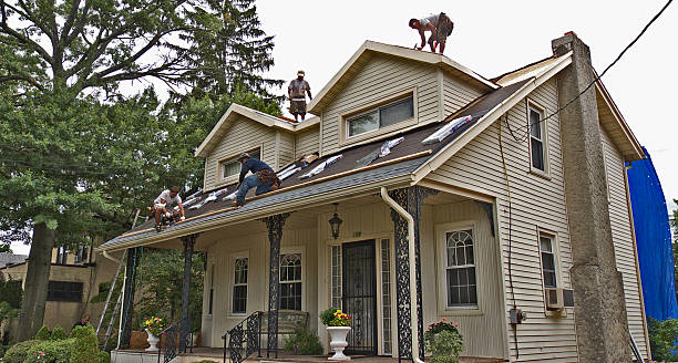 Best Roof Maintenance Services  in Druid Hills, GA